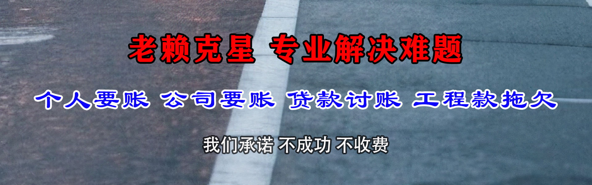 阳新金顺清债公司